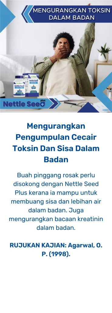 nettle seed plus cecair toksin