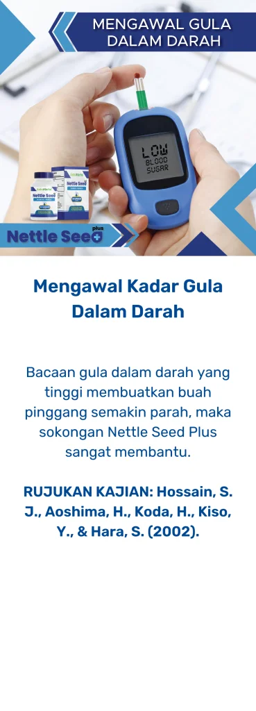 nettle seed plus kadar gula