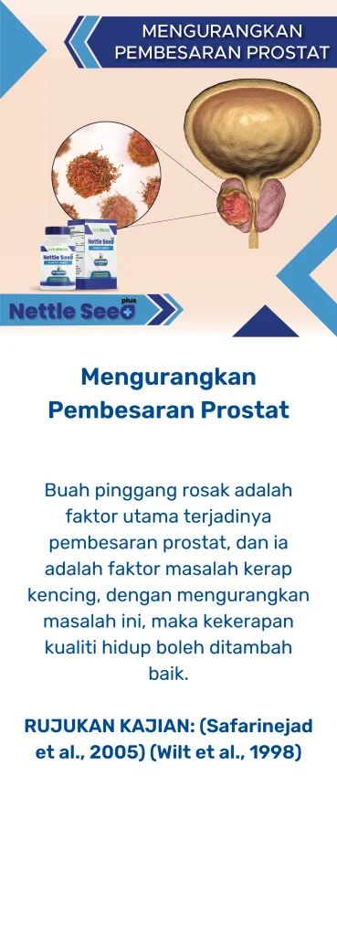 nettle seed plus prostat