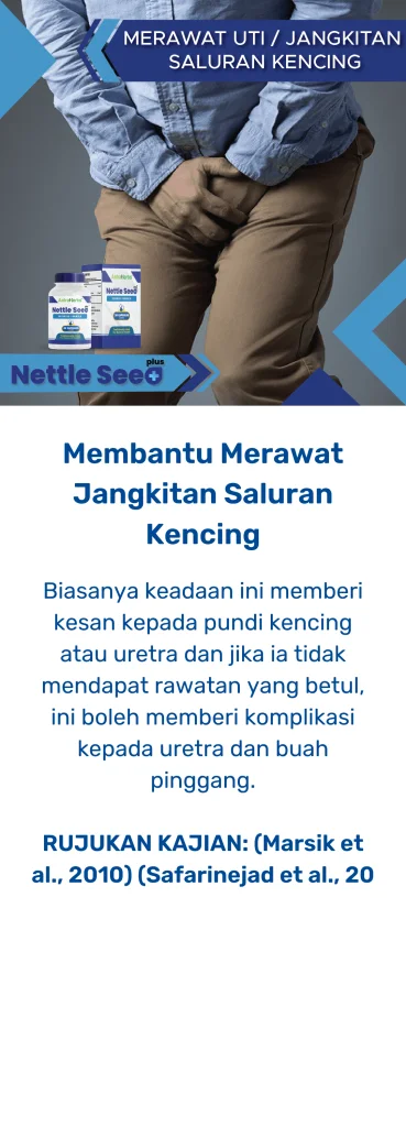 nettle seed plus saluran kencing
