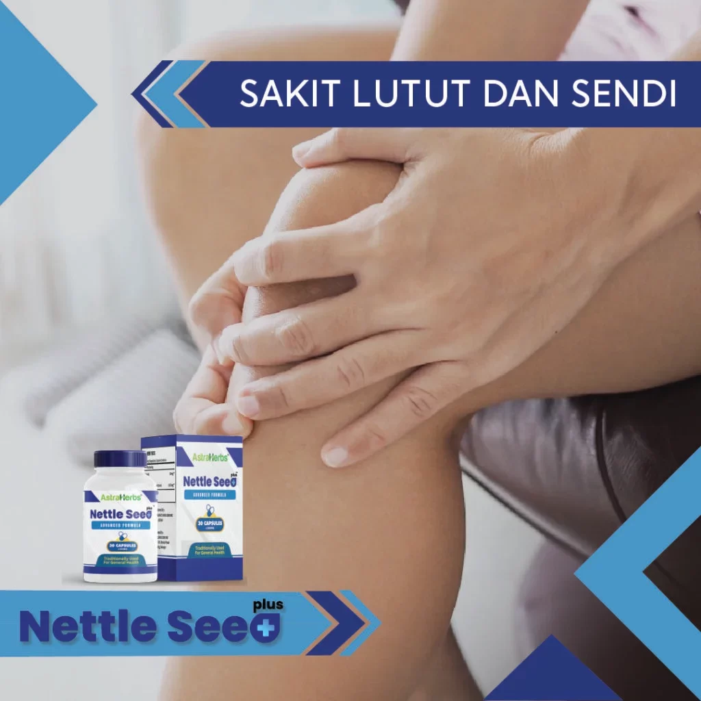 nettle seed plus sakit lutut