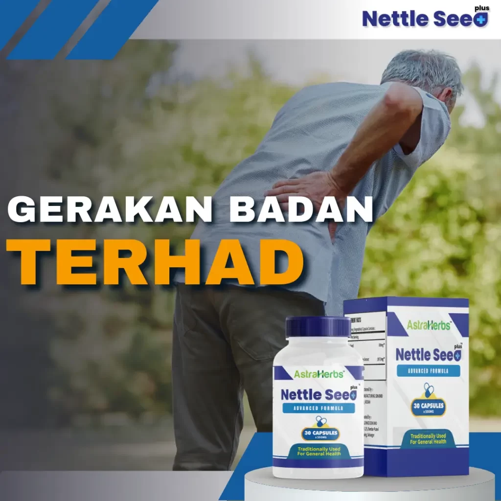 nettle seed plus gerakan badan terhad