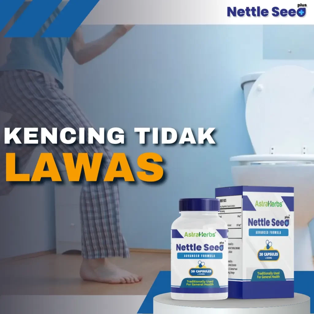 nettle seed plus kencing tak lawas