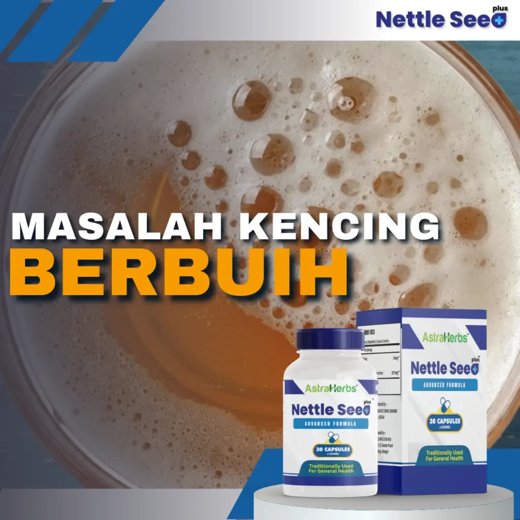 nettle seed plus kencing berbuih