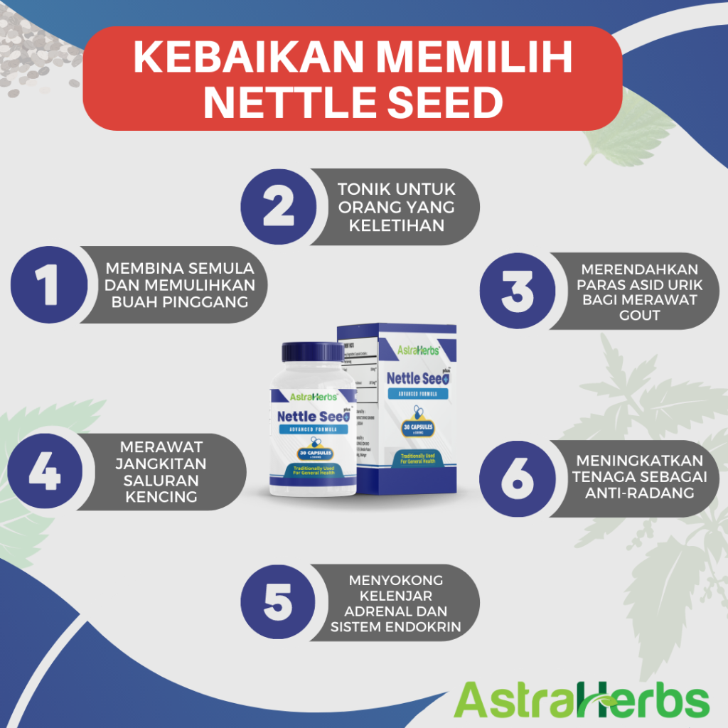 nettle seed plus kebaikan memilih