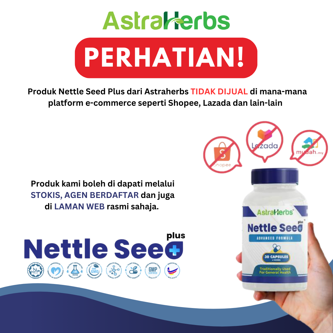 nettle seed plus perhatian