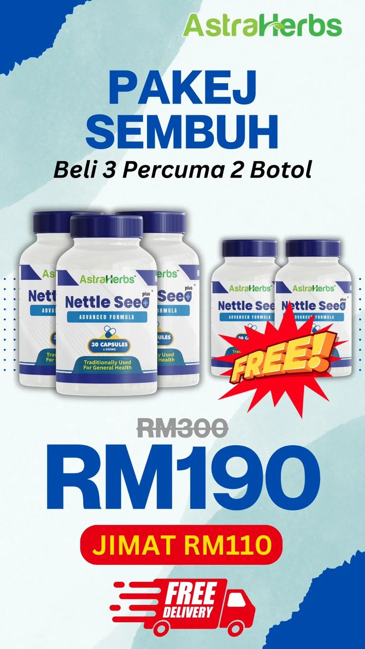 nettle seed plus pakej 3